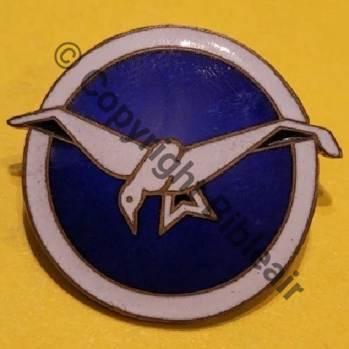 35.2.3  1920.38 3eDrille MF.32 GR.II.35 ou 13e 35eRAO  A.AUGIS LYON 2Lign Bol Dos lisse irreg Src.chodard83 211Eur(x2) 